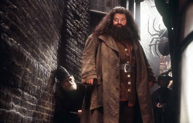 Du gentil géant Hagrid ! Robbie Coltrane regardera tout ça de là-haut.