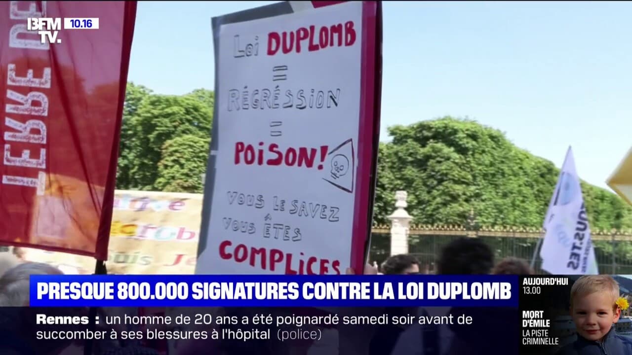 Manifestation contre la loi Duplomb