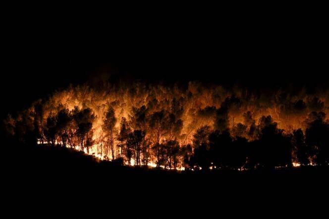 Arbres en feu à Martigues, dans le sud de la France, le 18 juillet 2025.