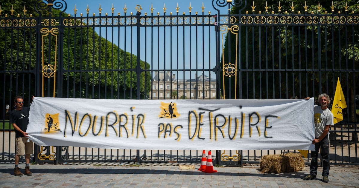 Mobilisation contre la loi Duplomb, devant le Sénat, à Paris, le 30 juin 2025