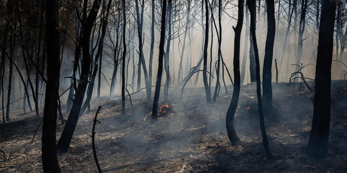 Efforts de lutte contre l'incendie en Crète