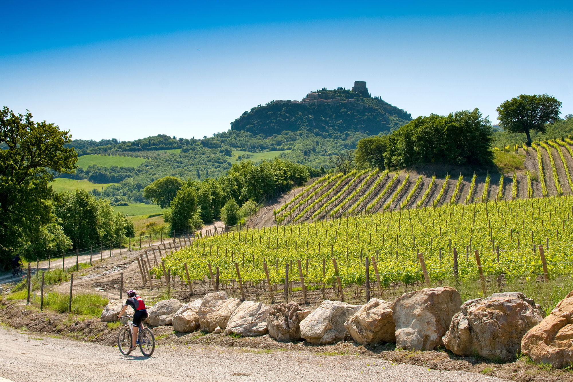 Strade Bianche de Toscane (Italie)