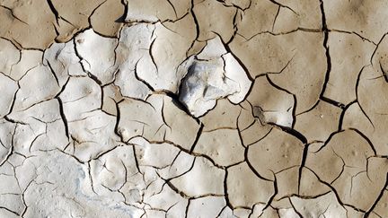 Terre craquelée par la sécheresse. Image d'illustration. (JEAN-MARC LALLEMAND / MAXPPP)