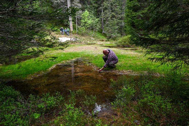 Un opposant au projet du maire de la station de ski de La Clusaz, montre le site du col des Aravis, entre la Haute-Savoie et la Savoie, où un projet de retenue d’eau devrait être construit pour alimenter les canons à neige du plateau de Beauregard, près de La Clusaz, le 7 juin 2021.