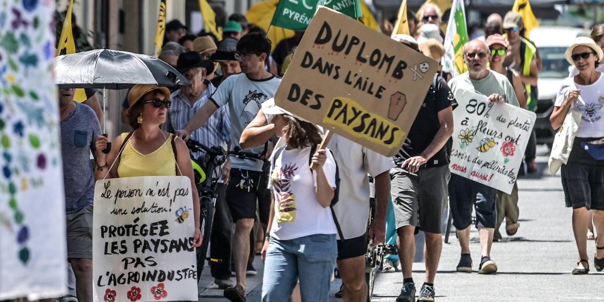 Manifestation contre la loi Duplomb