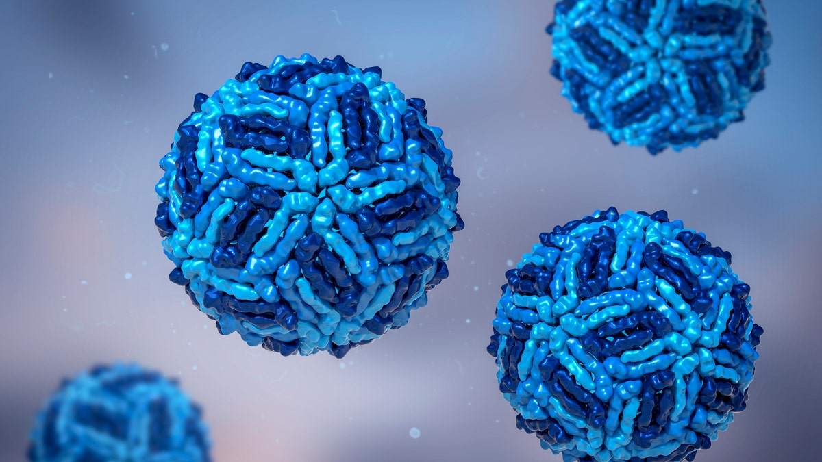 Illustration 3D du virus du Nil occidental