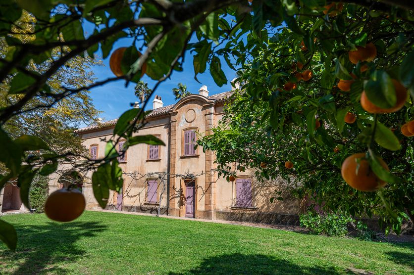 Parc et château de la Moutte à Saint-Tropez.