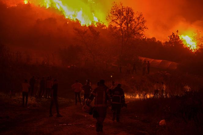 Incendie survenu dans le district de Gürsu, à Bursa (Turquie), le 27 juillet 2025.