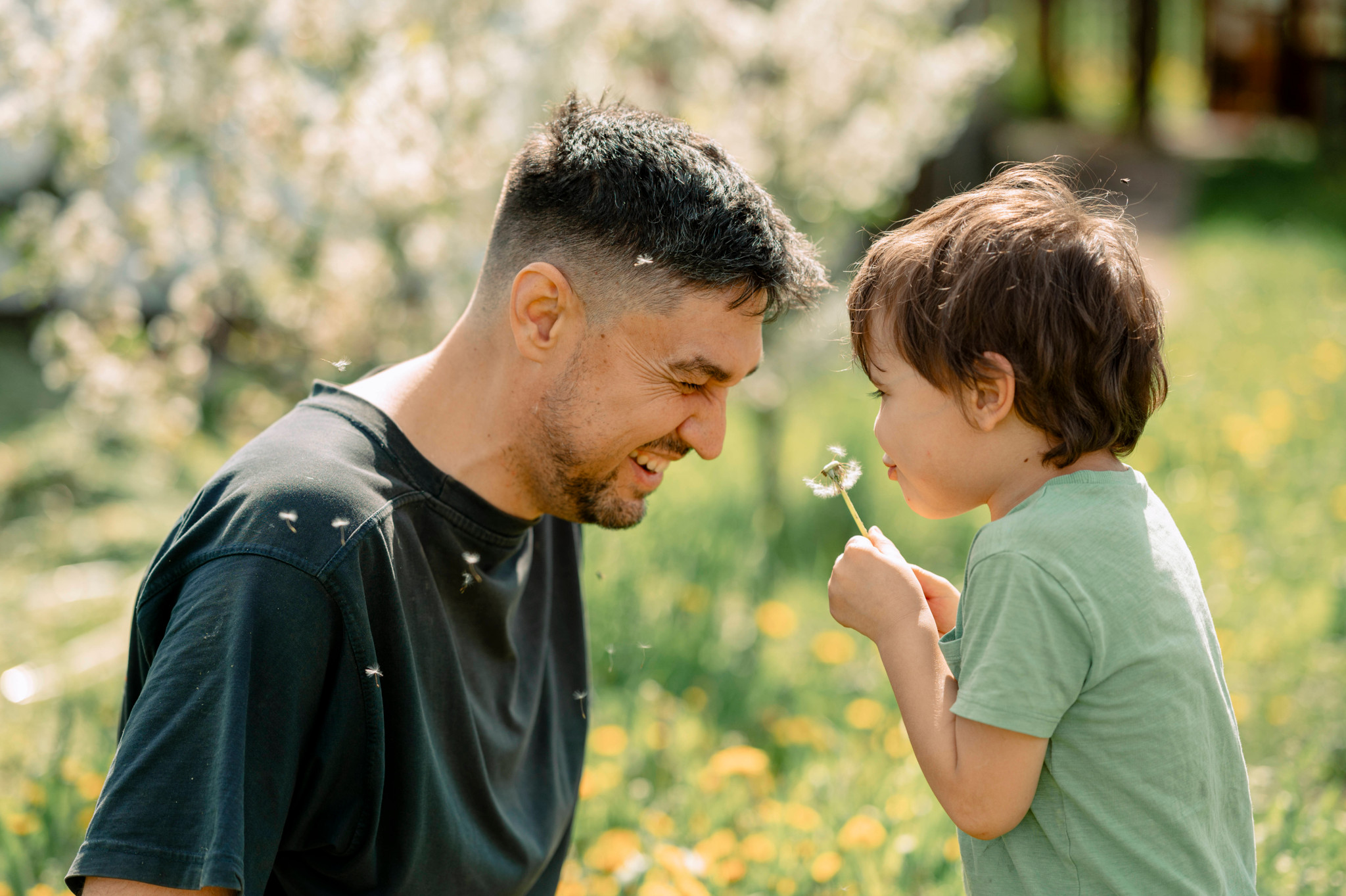 Un père et son fils profitent d’une journée ensoleillée dans un champ de pissenlits.