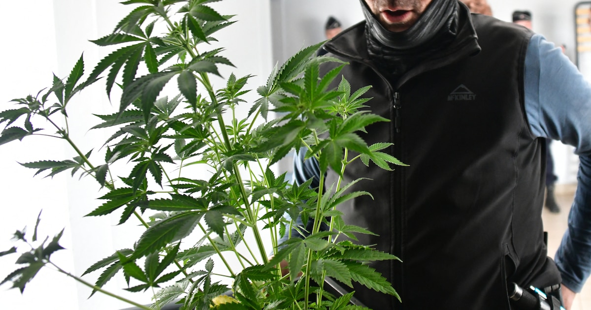 Des policiers français lors d'une opération XXL Place Nette