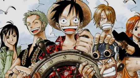 One Piece Pirate