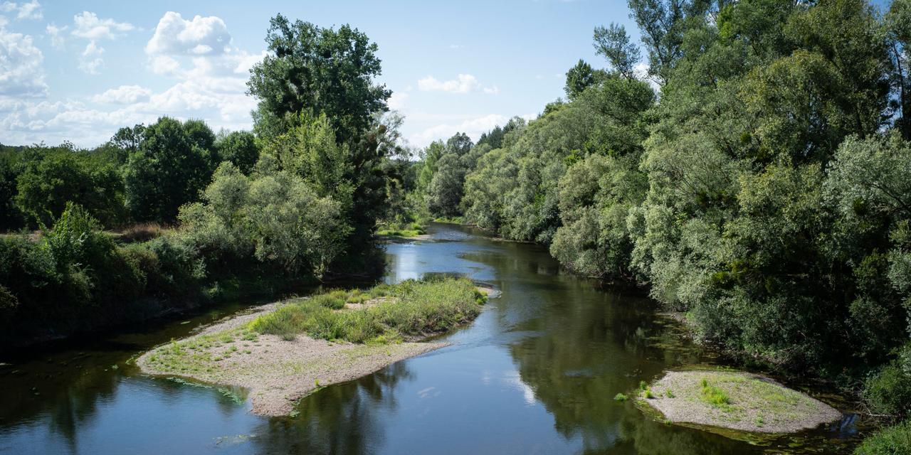 La rivière du Cher à Devrant. Département du Cher. France, 26/07/2025.