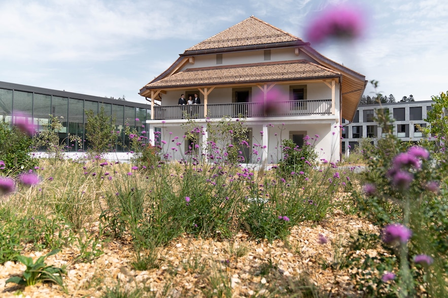 EHL ferme