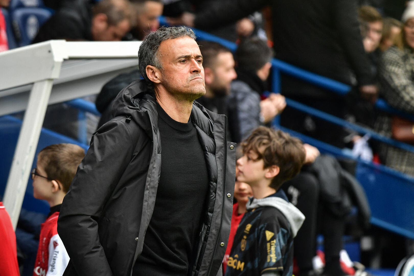 Luis Enrique, entraîneur du PSG