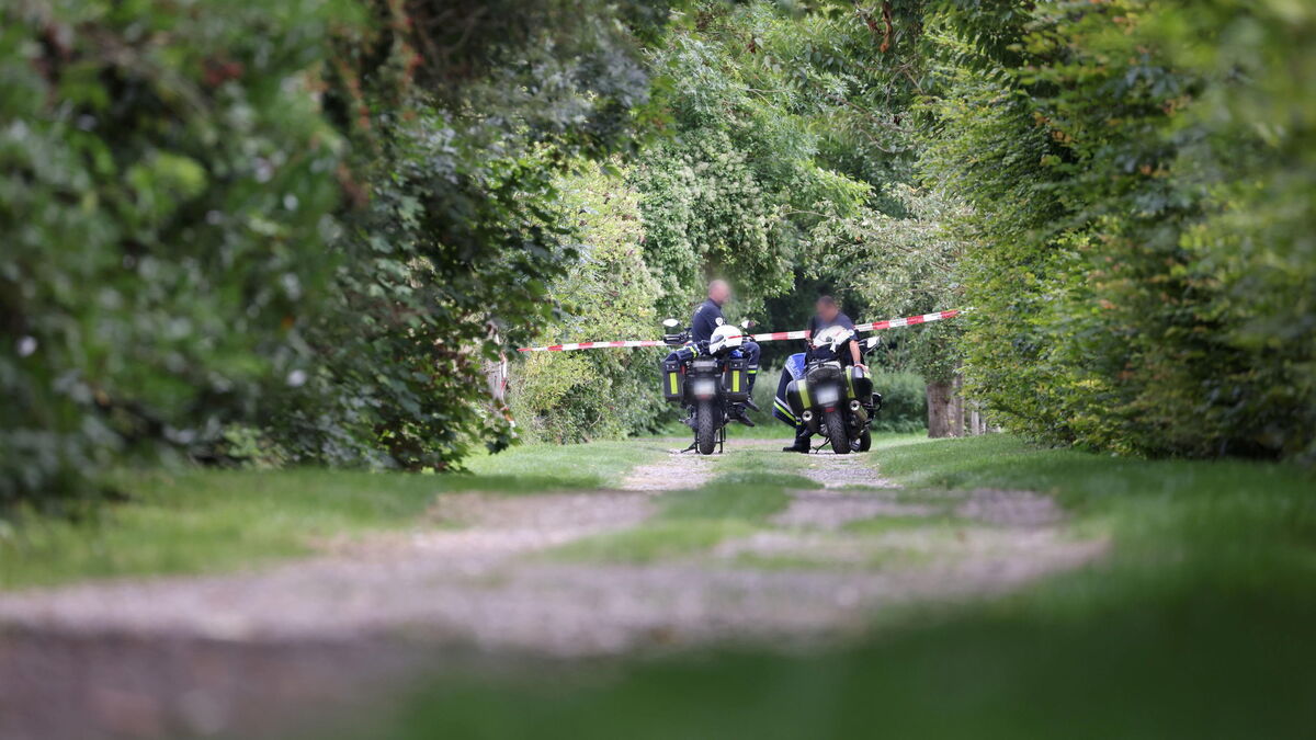 Crime dans la Somme : scène macabre dans le parc de Pont-de-Metz