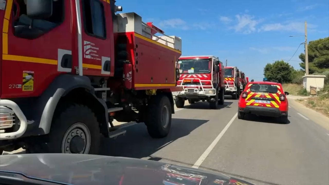 Pompiers lors d'une intervention en forêt