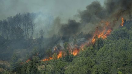 Des volutes de fumée s'échappent d'un feu de forêt à Lagrasse, dans le sud-ouest de la France, le 5 août 2025.