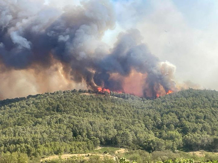 Pour lutter contre le feu dans l'Aude, le 5 août 2025, 1 250 sapeurs-pompiers sont sur place, appuyés par neuf Canadair, cinq Dash et deux hélicoptères.