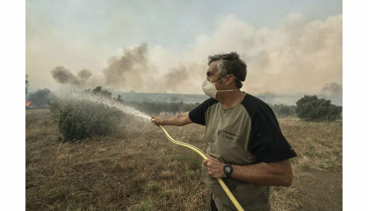 Incendie dans l'Aude, destruction de hectares de végétation