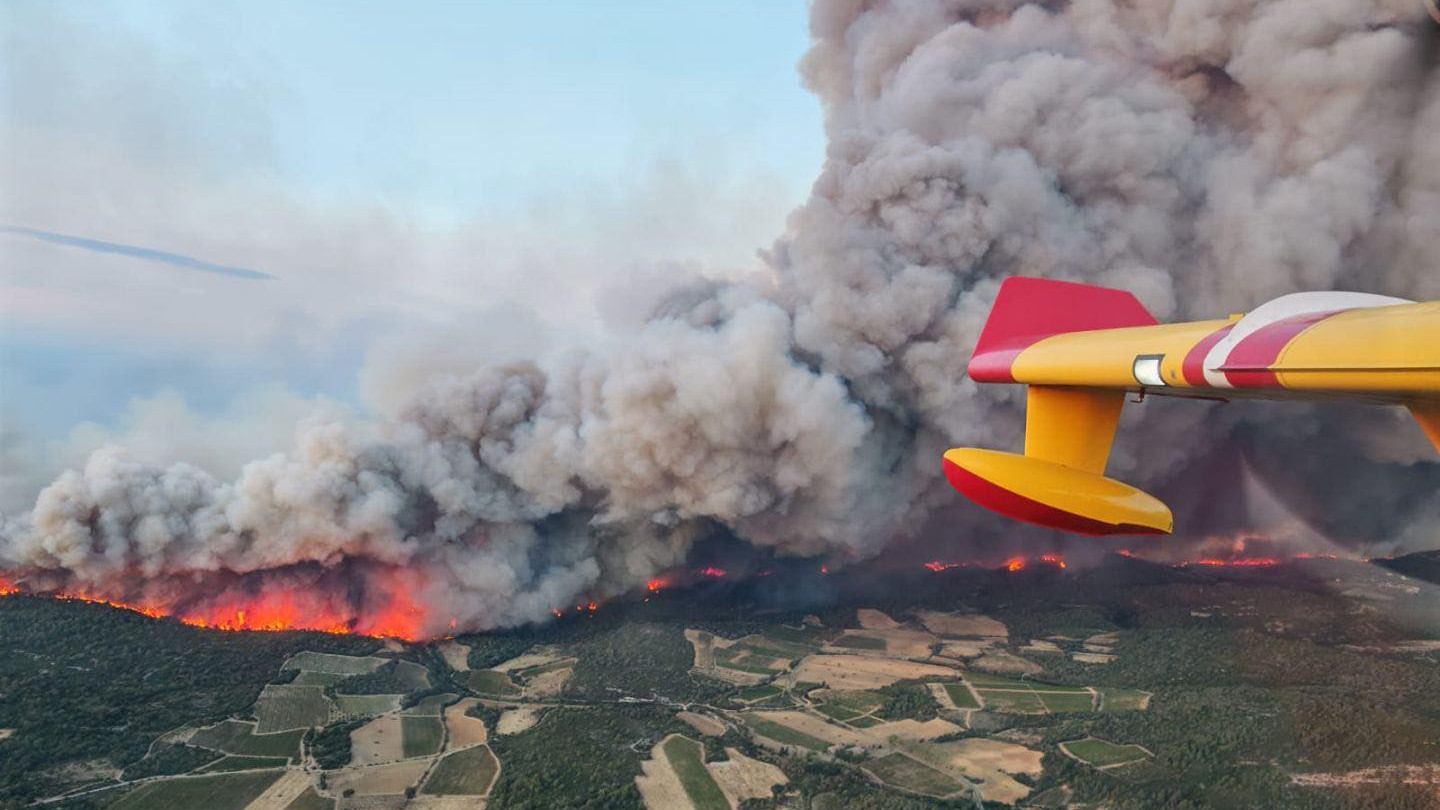 Végétation calcinée dans l'Aude, victimes de l'incendie