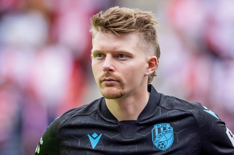 Pavel Šulc en présentation