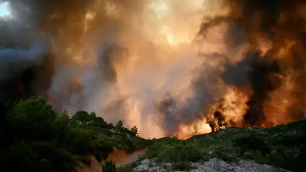 Pompiers en intervention contre un incendie de forêt