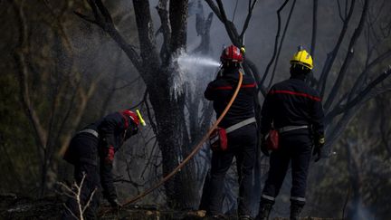 Les sapeurs-pompiers s'efforcent d'éteindre l'incendie à Saint-Laurent-de-la-Cabrerisse (Aude), le 7 août 2025.