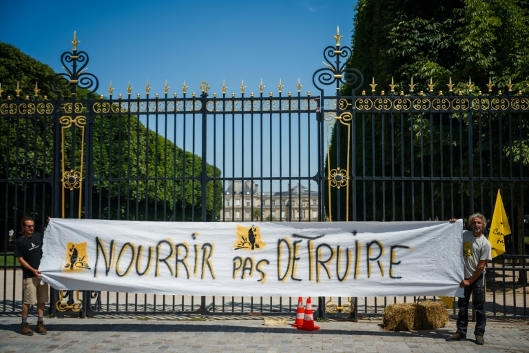 Illustration de la décision du Conseil constitutionnel et des pesticides