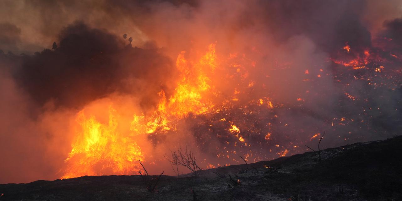 The Canyon Fire burns on Thursday, Aug. 7, 2025, in Hasley Canyon, Calif. (AP Photo/Marcio Jose Sanchez)