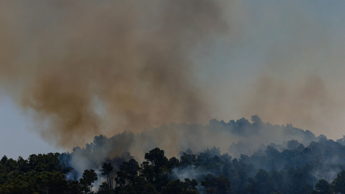 Incendie en Hérault près de l
