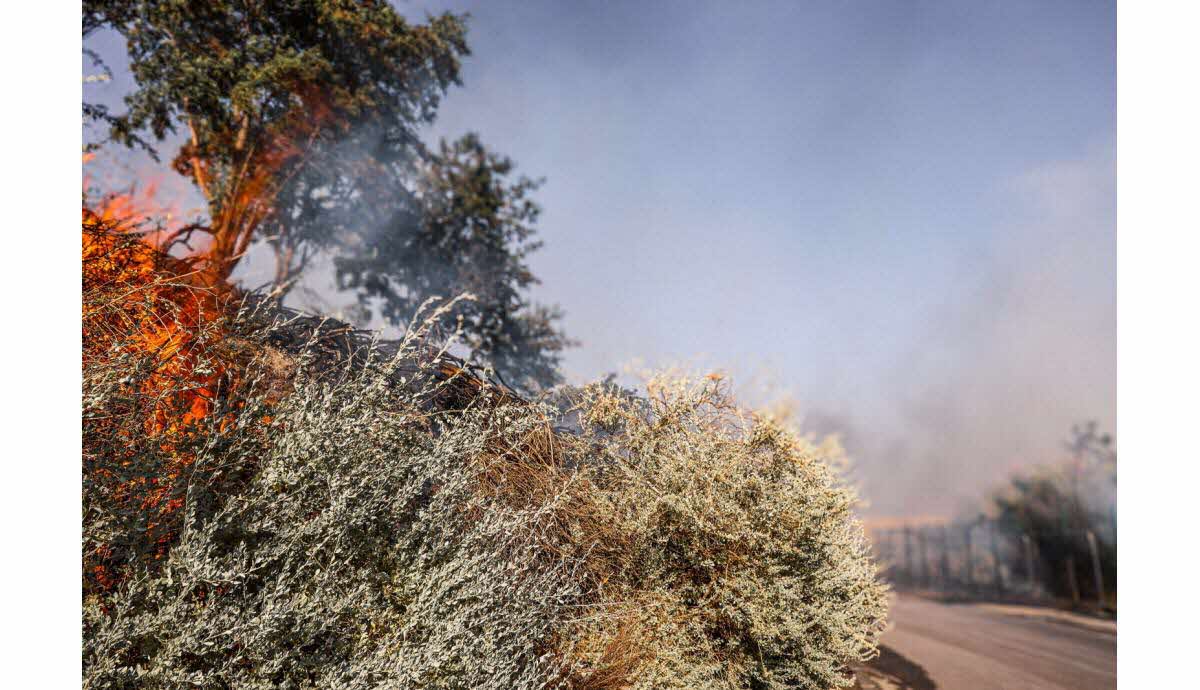 Incendiaire intercepté par les riverains à Bédarieux