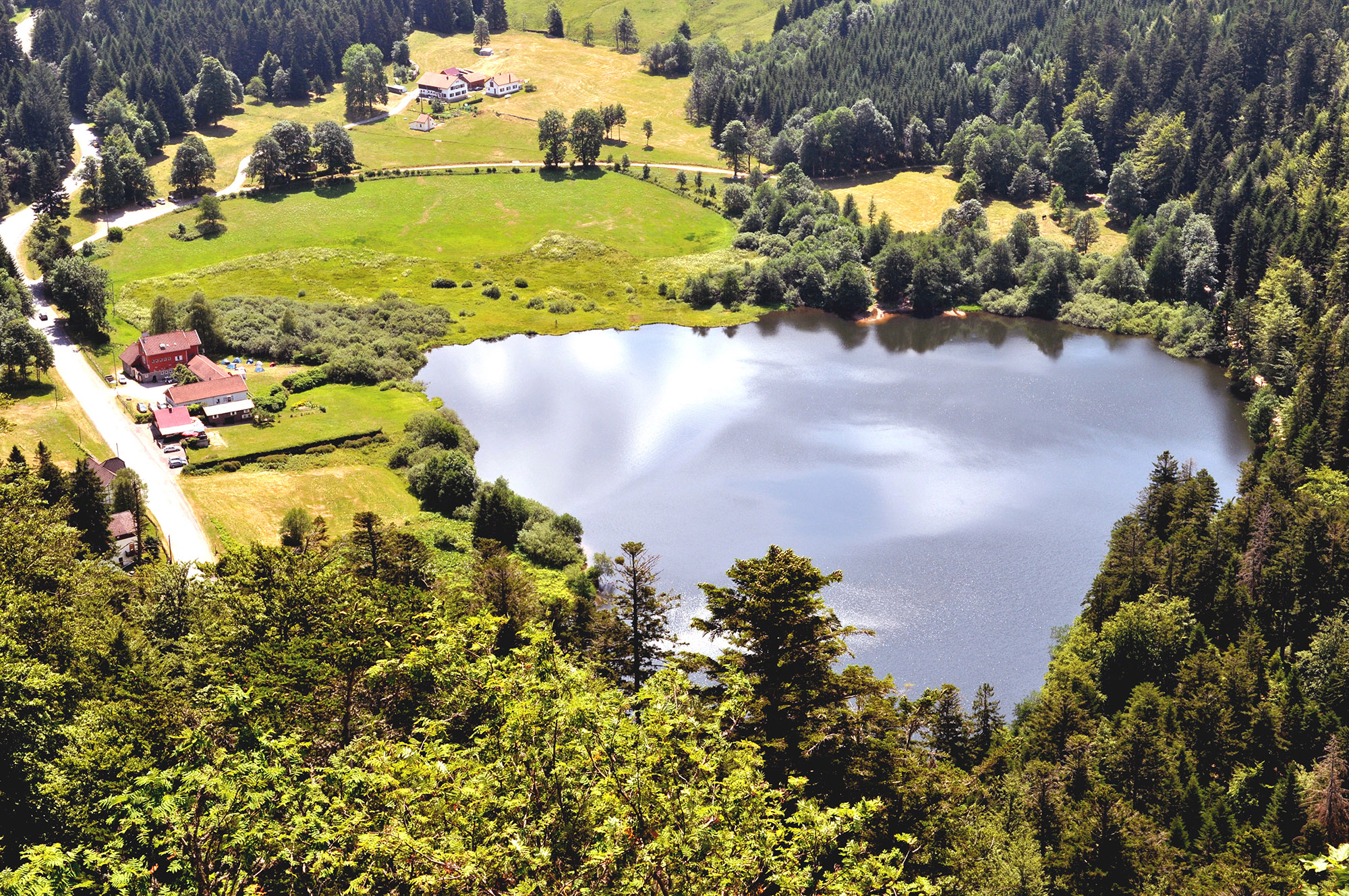 Nager dans un lac des Vosges ou un fjord de Norvège