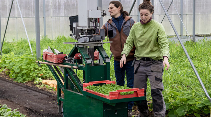 À Lisses, NeoFarm marie agroécologie et technologie