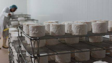 Des fromages dans une usine. Photo d'illustration.