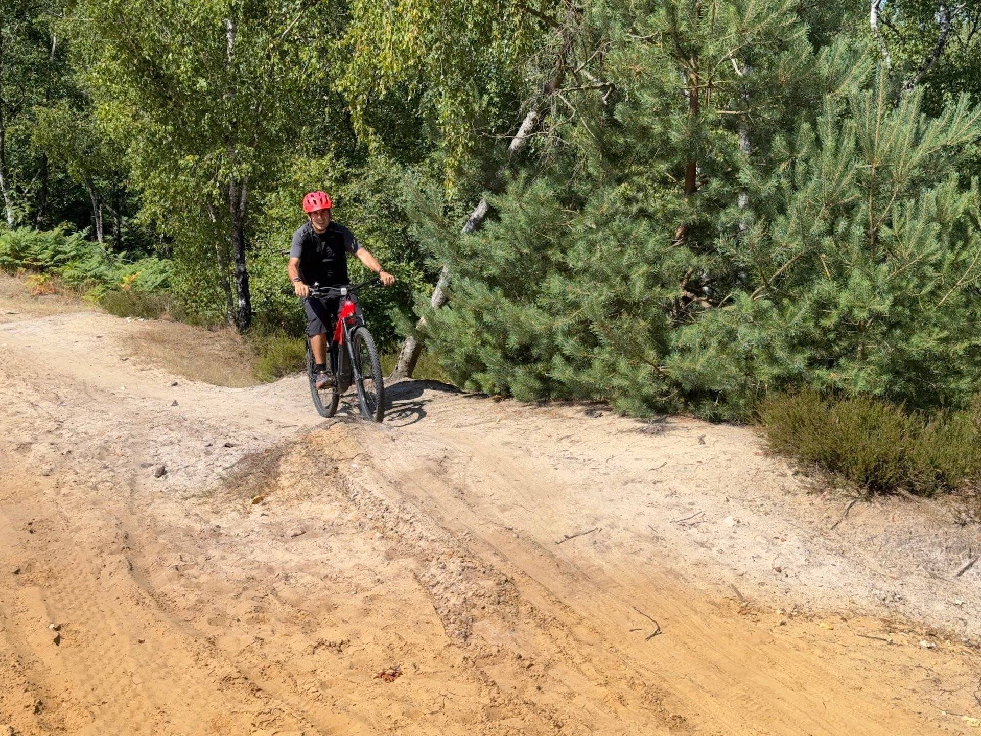 Détails du porte-bagages et du guidon sur le Powerfly+ 4
