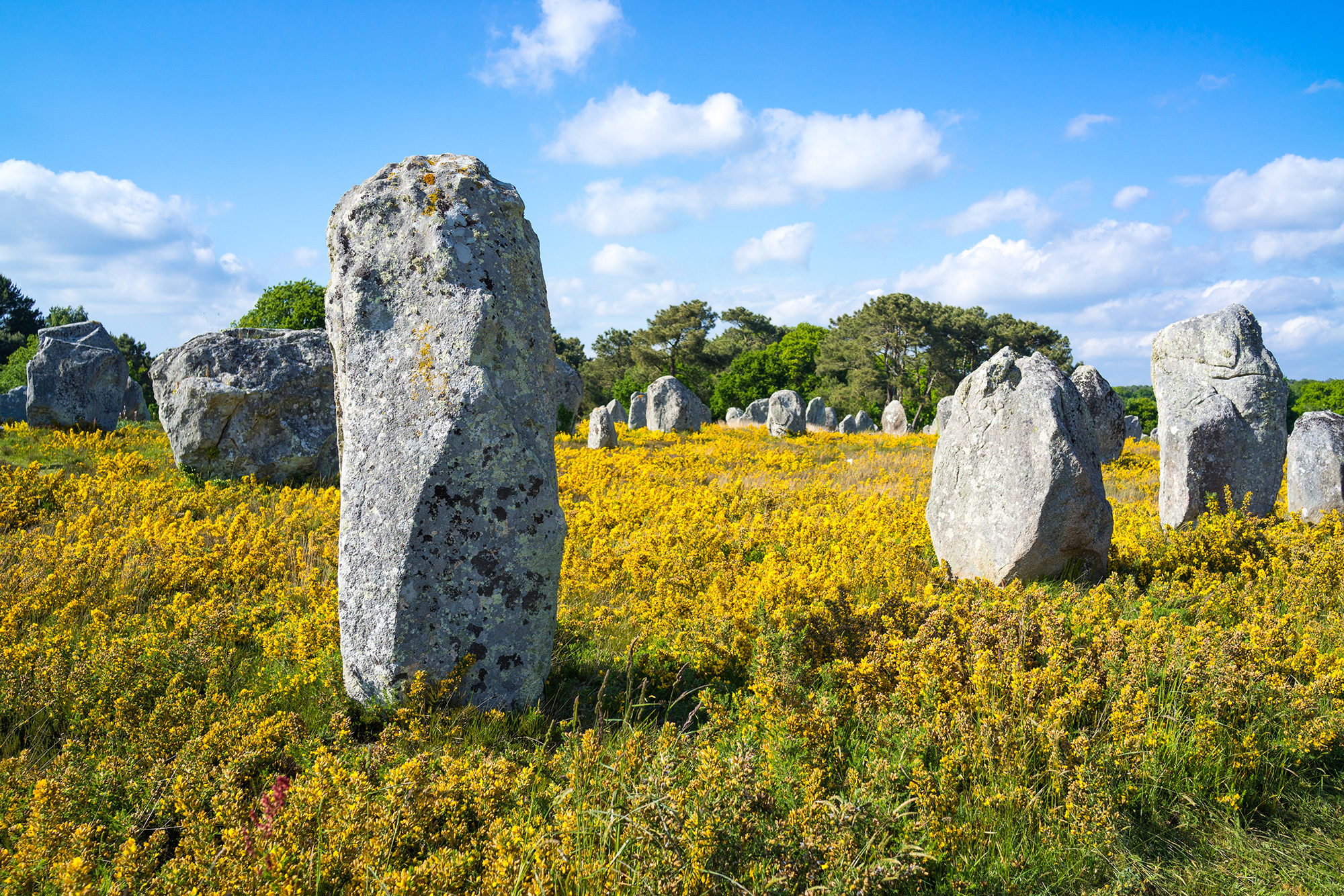 Les mégalithes de Carnac, retour à l’aube des temps