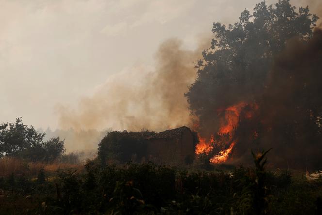 Un incendie à Congosta (Espagne), le 11 août 2025.
