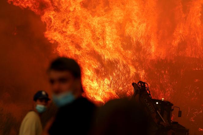 Végétation en flammes à Trancoso