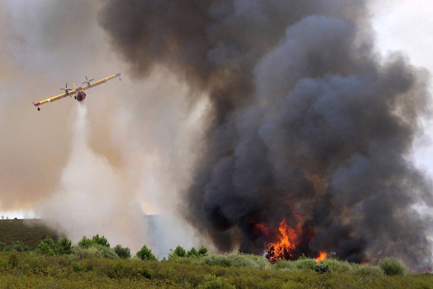 Avion de pompiers combattant un incendie de forêt