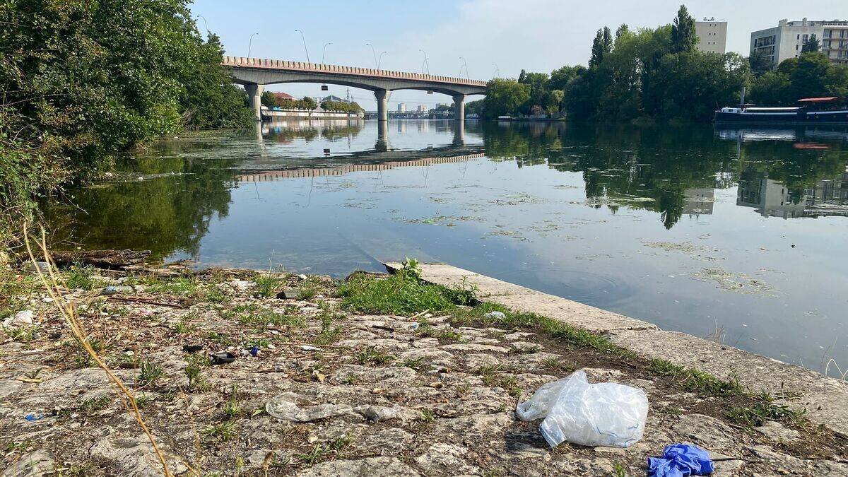 Vue générale de la Seine près de Choisy-le-Roi