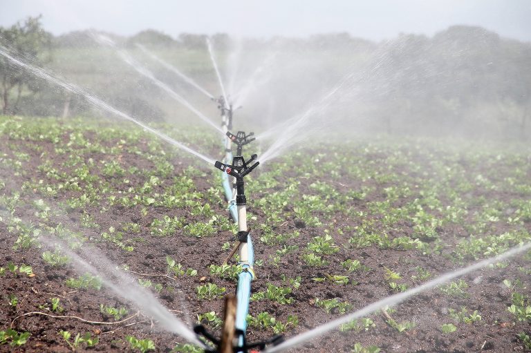 Irrigation agricole en période de sécheresse