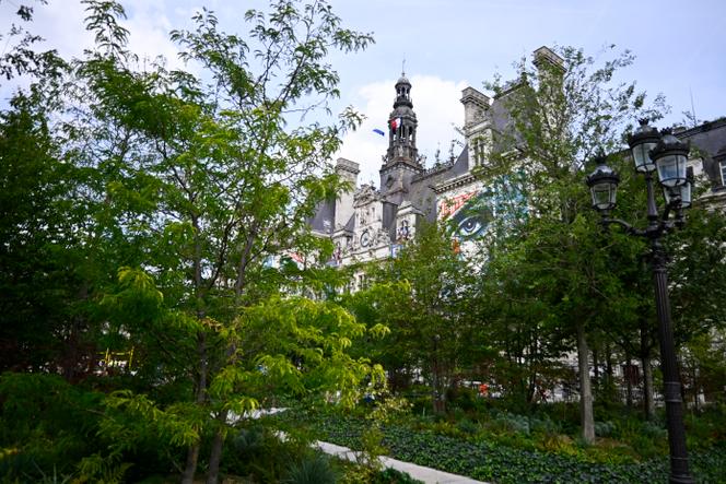Forêt urbaine place de l’Hôtel-de-Ville Paris