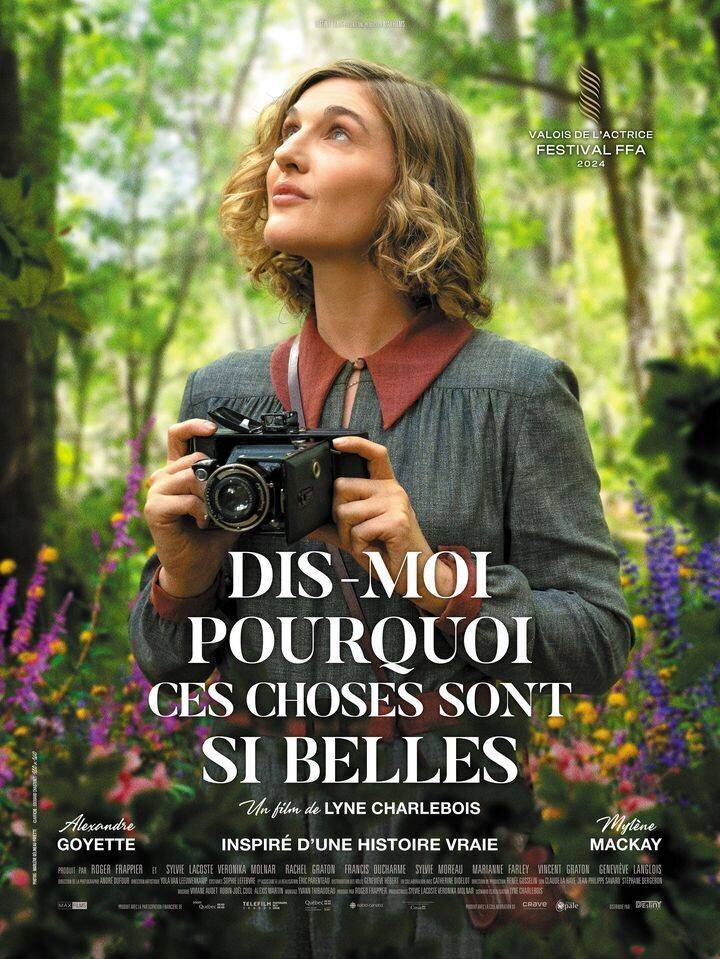 Affiche du film Dis‑moi pourquoi ces choses sont si belles