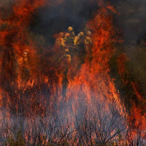Pompiers combattant un incendie près d'Abejera de Tábara