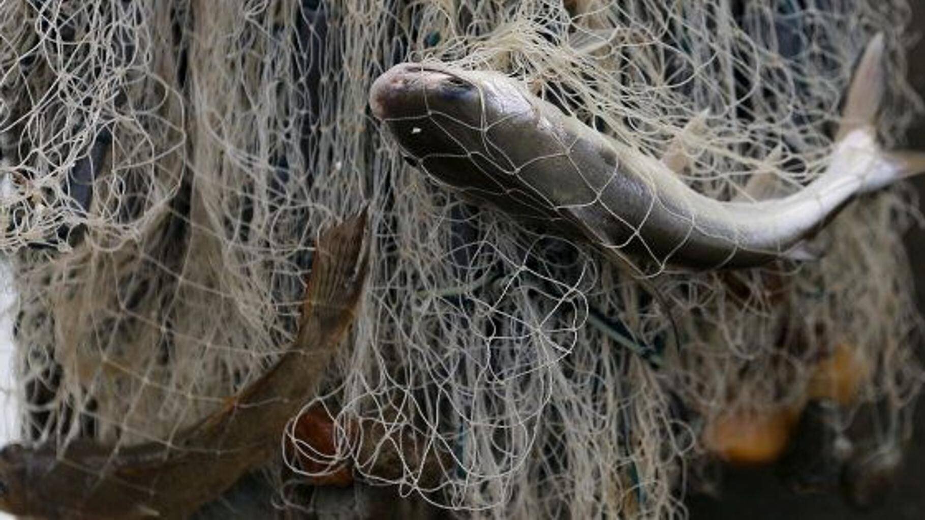 Pêcheur et véhicule partiellement immergé dans une rivière