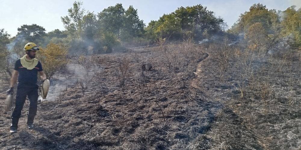 Feu de broussailles sur les hauteurs de Bon-Encontre