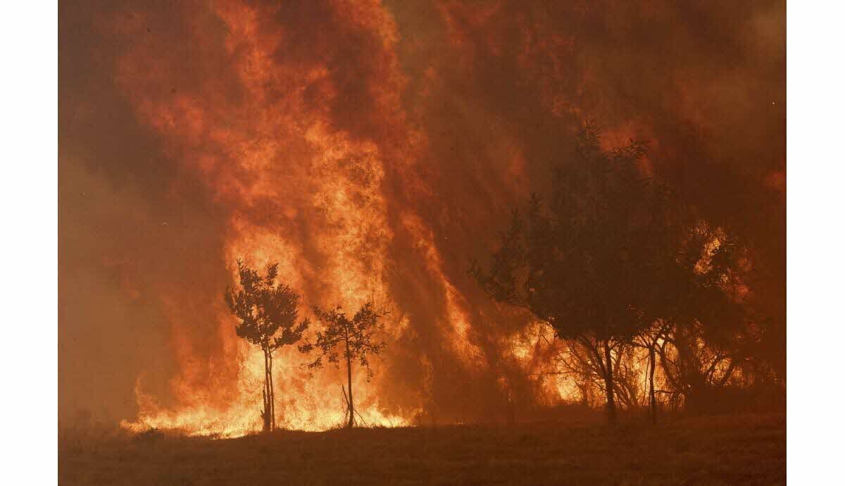 Bilan des feux de forêt en Europe 2025, record