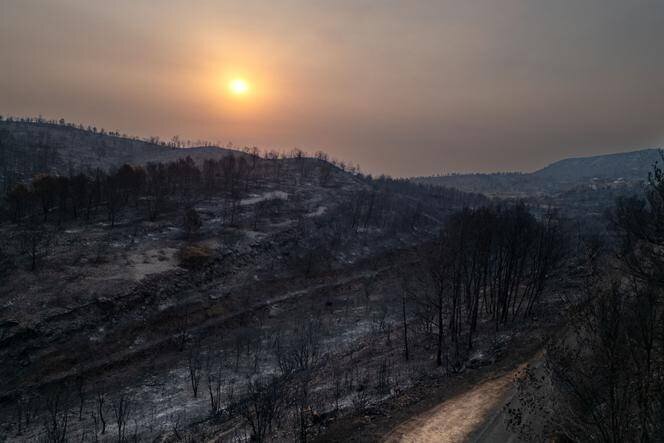 Incendies près de Jonquières pendant la canicule