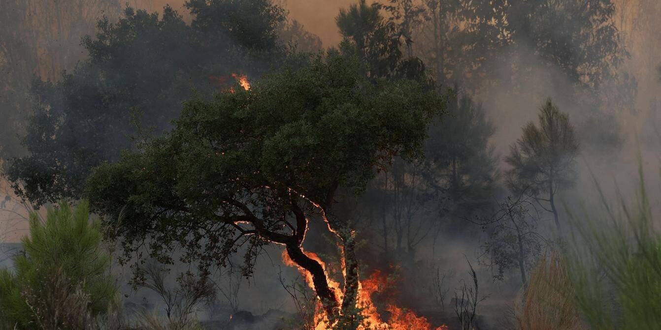 Incendies de forêt au Portugal en août 2025