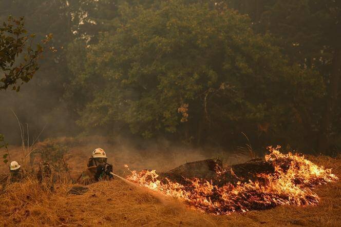 Pompiers combattant un incendie à Terrenho